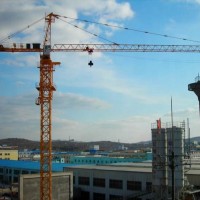 China New Self-erecting Tower Crane